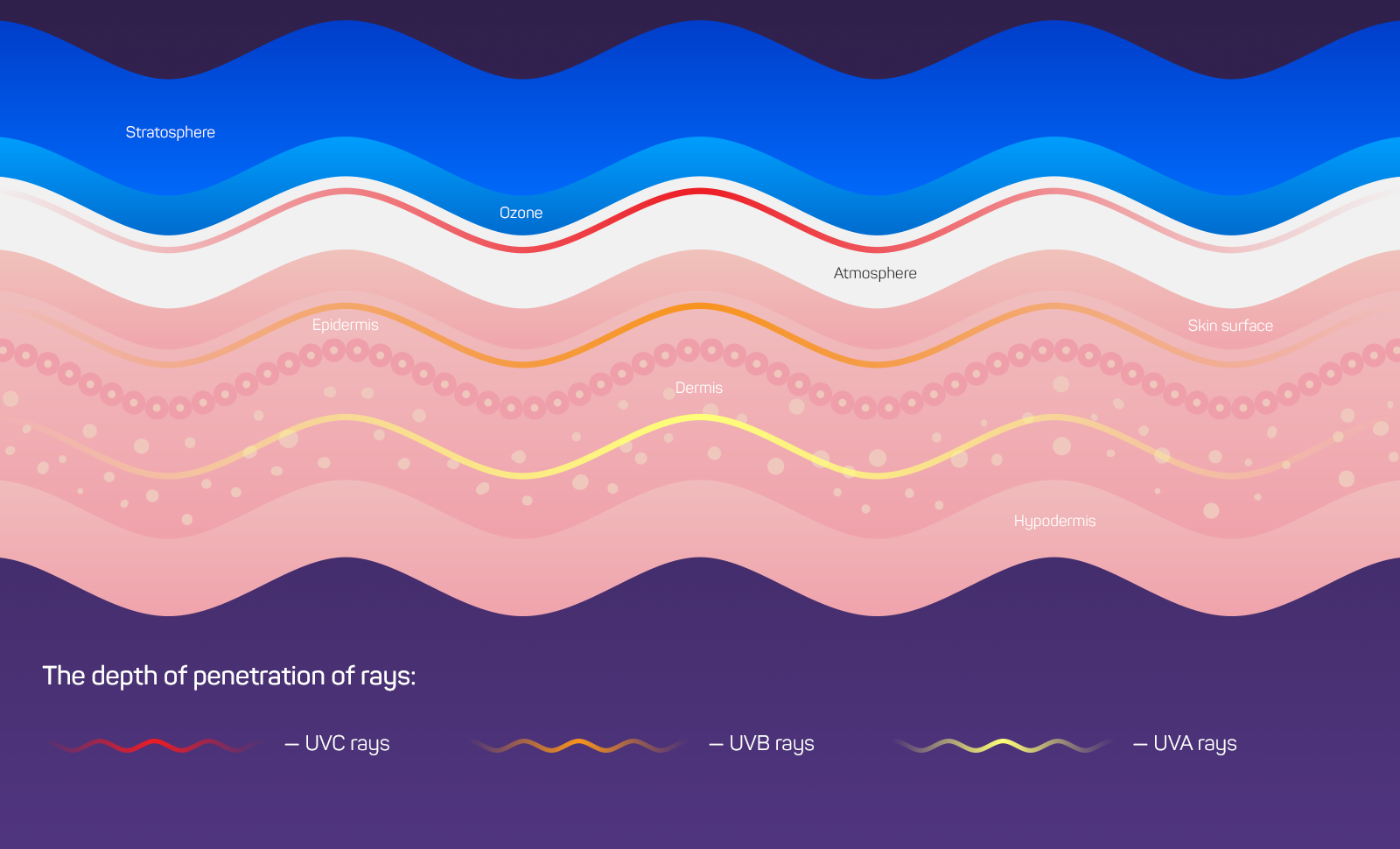 The depth of penetration of rays